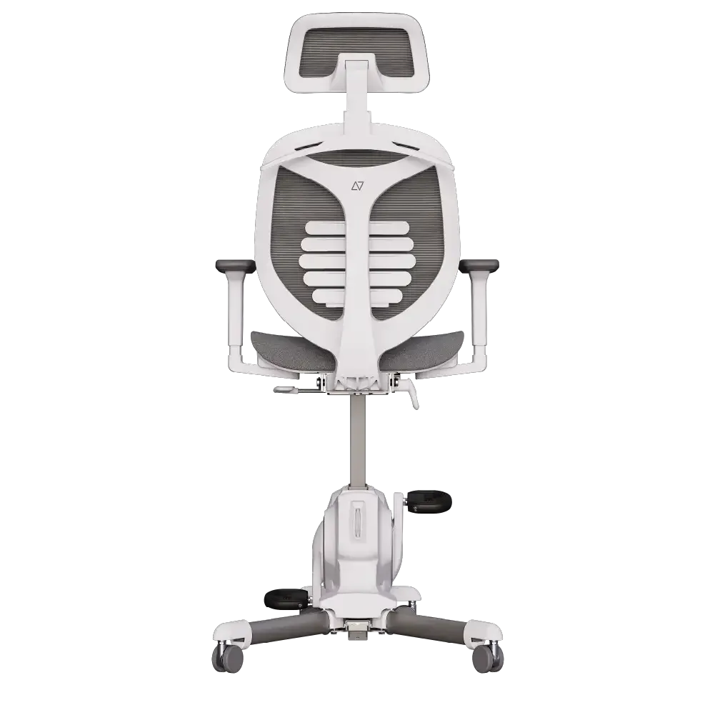 Cadeira Ergonômica Elements Egea